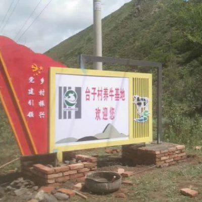 鄉(xiāng)村不銹鋼黨旗雕塑